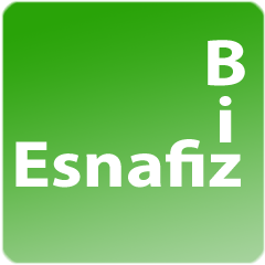 EsnafizBiz